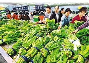 春節前菜市場探秘 蔬菜、水產、肉類價格與供應全解析